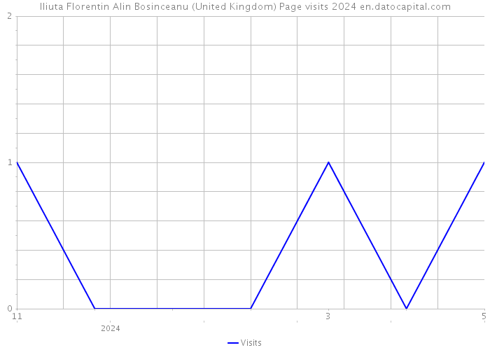 Iliuta Florentin Alin Bosinceanu (United Kingdom) Page visits 2024 