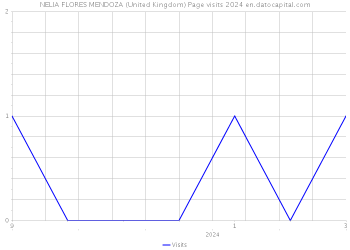 NELIA FLORES MENDOZA (United Kingdom) Page visits 2024 
