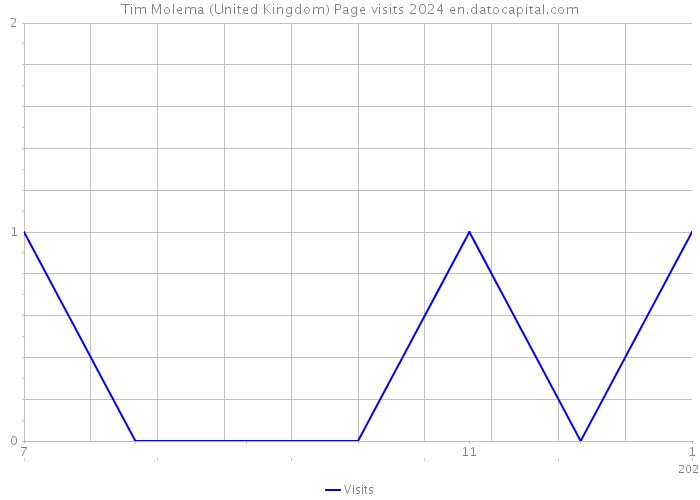 Tim Molema (United Kingdom) Page visits 2024 