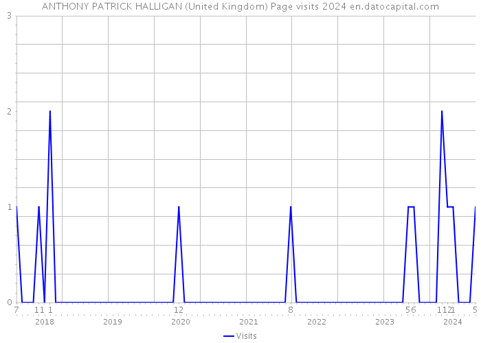 ANTHONY PATRICK HALLIGAN (United Kingdom) Page visits 2024 