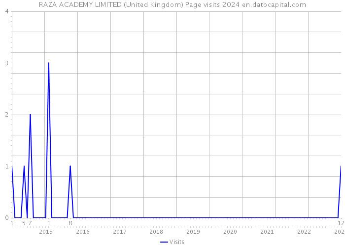 RAZA ACADEMY LIMITED (United Kingdom) Page visits 2024 