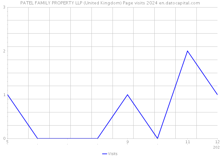 PATEL FAMILY PROPERTY LLP (United Kingdom) Page visits 2024 