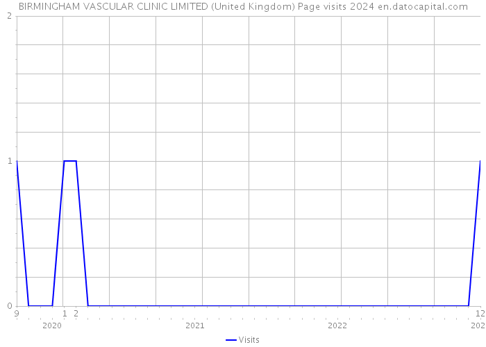 BIRMINGHAM VASCULAR CLINIC LIMITED (United Kingdom) Page visits 2024 