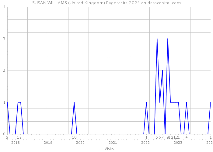 SUSAN WILLIAMS (United Kingdom) Page visits 2024 