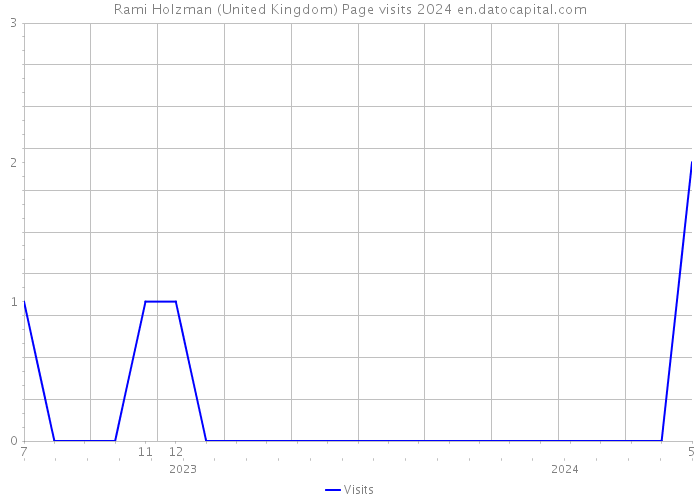 Rami Holzman (United Kingdom) Page visits 2024 