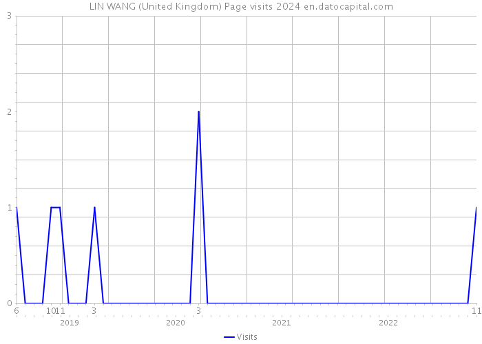 LIN WANG (United Kingdom) Page visits 2024 