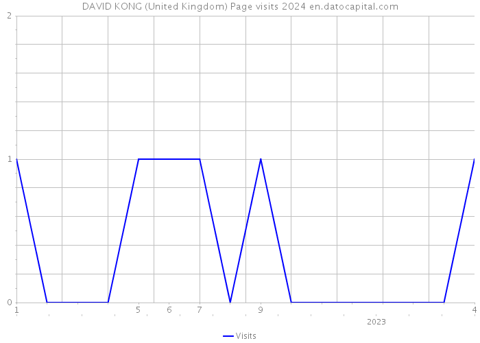 DAVID KONG (United Kingdom) Page visits 2024 