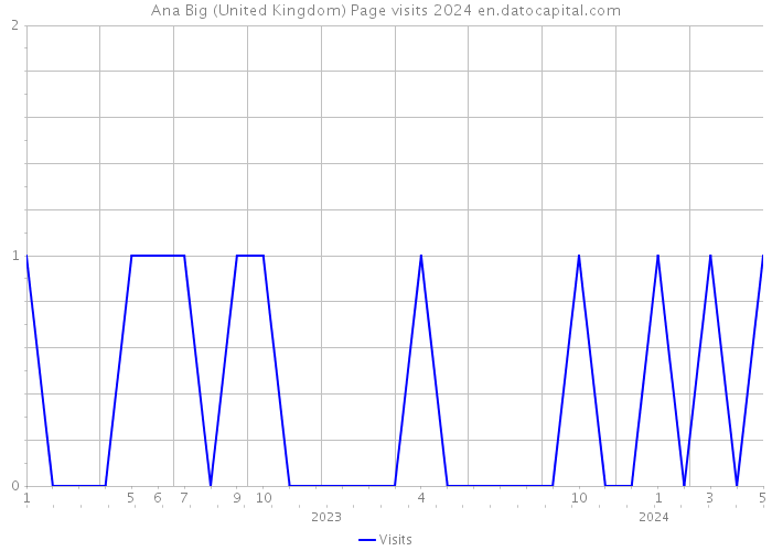 Ana Big (United Kingdom) Page visits 2024 