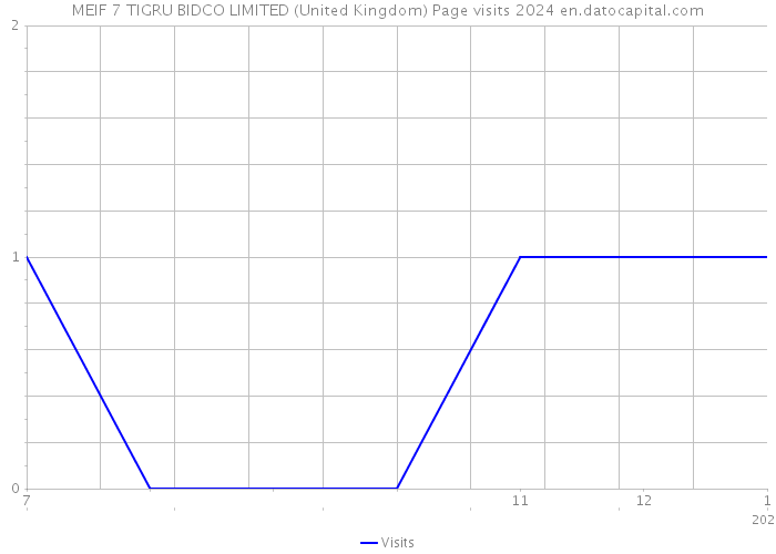 MEIF 7 TIGRU BIDCO LIMITED (United Kingdom) Page visits 2024 
