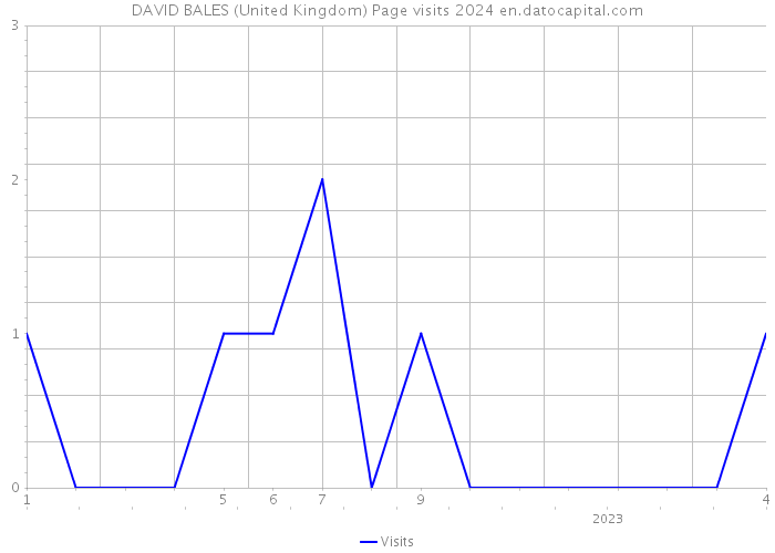 DAVID BALES (United Kingdom) Page visits 2024 