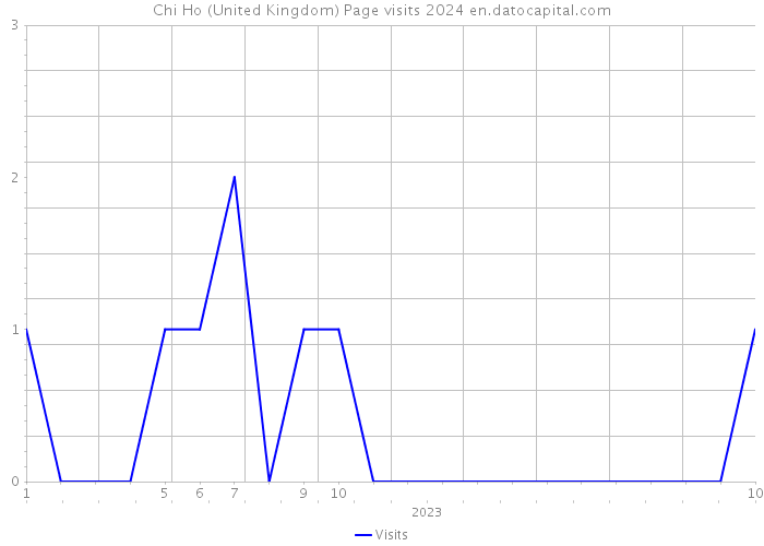 Chi Ho (United Kingdom) Page visits 2024 