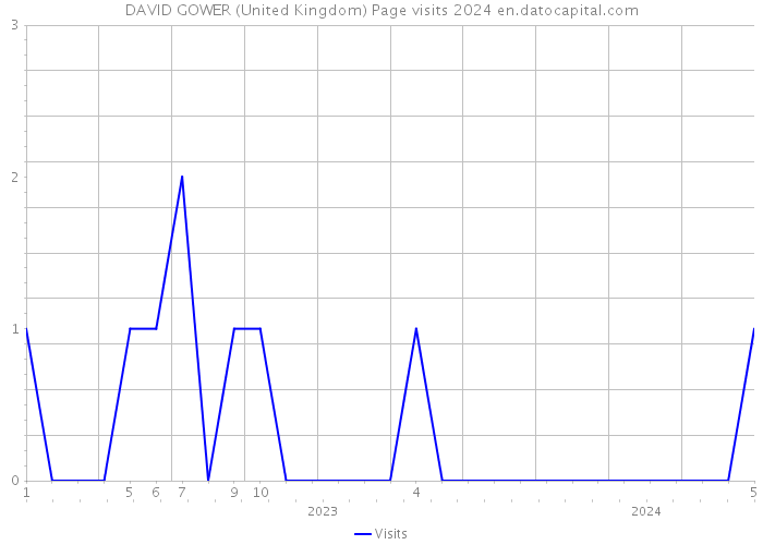 DAVID GOWER (United Kingdom) Page visits 2024 