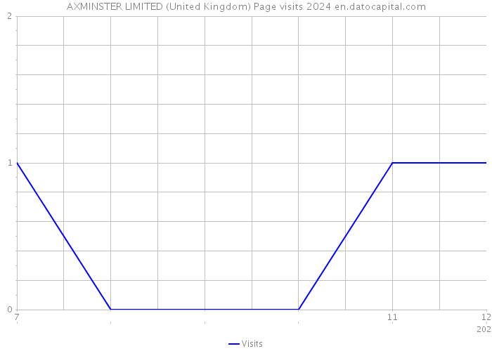 AXMINSTER LIMITED (United Kingdom) Page visits 2024 