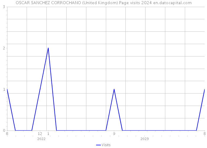 OSCAR SANCHEZ CORROCHANO (United Kingdom) Page visits 2024 