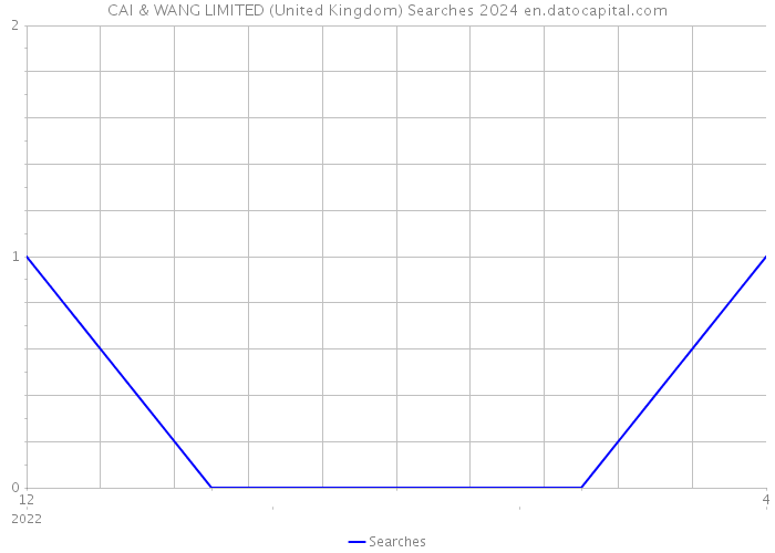 CAI & WANG LIMITED (United Kingdom) Searches 2024 