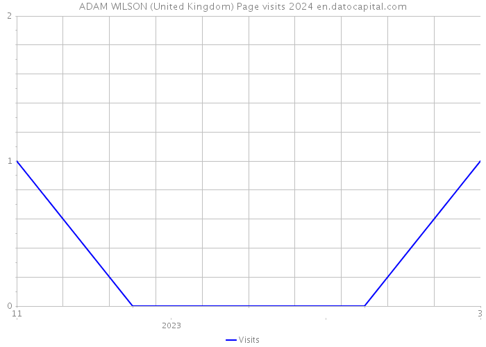 ADAM WILSON (United Kingdom) Page visits 2024 