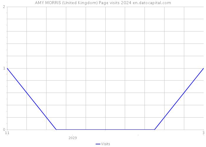 AMY MORRIS (United Kingdom) Page visits 2024 