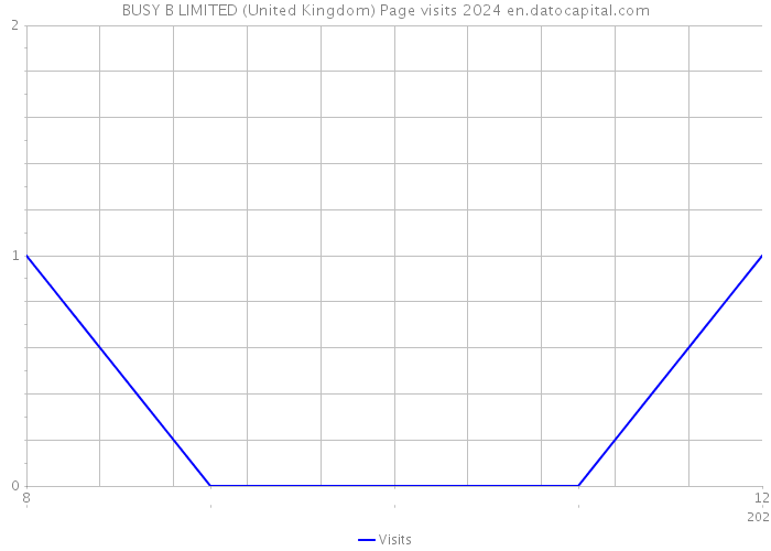 BUSY B LIMITED (United Kingdom) Page visits 2024 