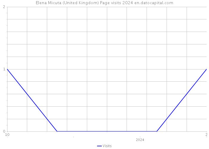 Elena Micuta (United Kingdom) Page visits 2024 