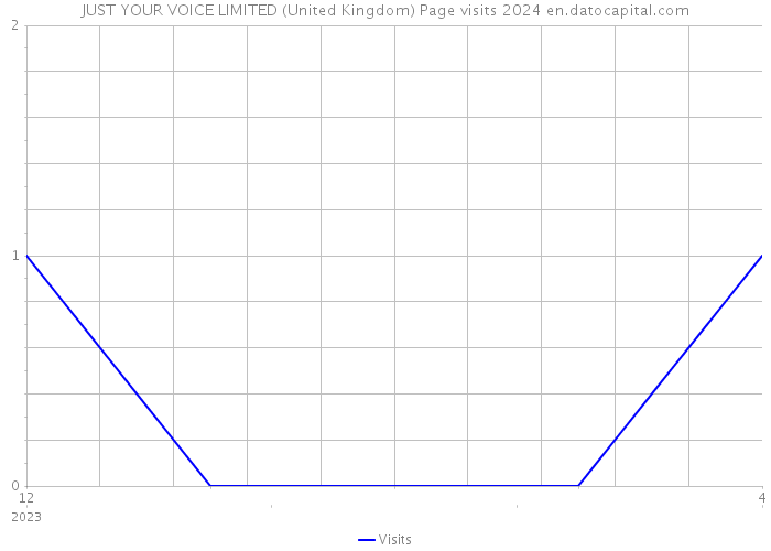 JUST YOUR VOICE LIMITED (United Kingdom) Page visits 2024 
