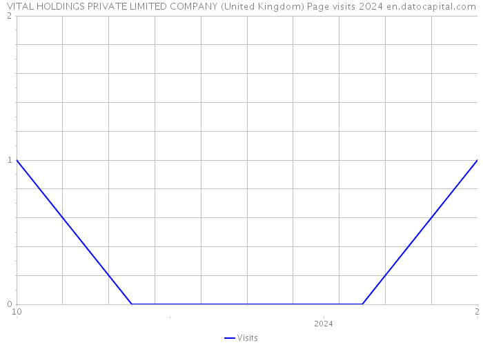 VITAL HOLDINGS PRIVATE LIMITED COMPANY (United Kingdom) Page visits 2024 