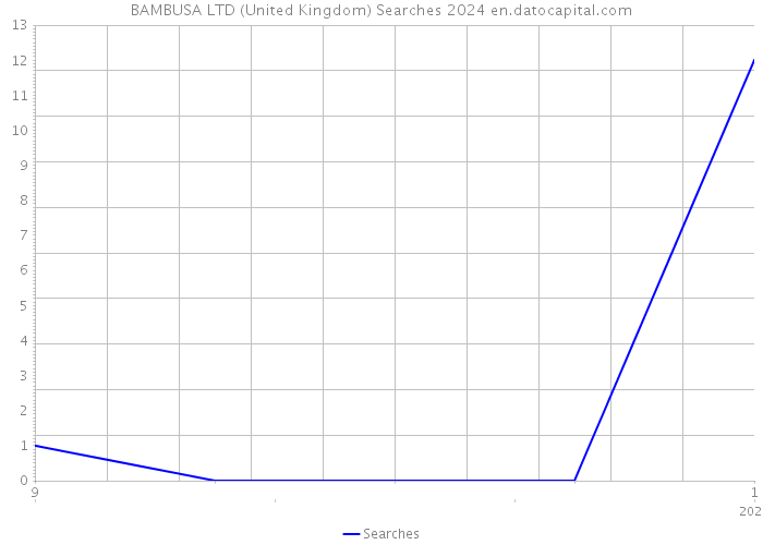 BAMBUSA LTD (United Kingdom) Searches 2024 