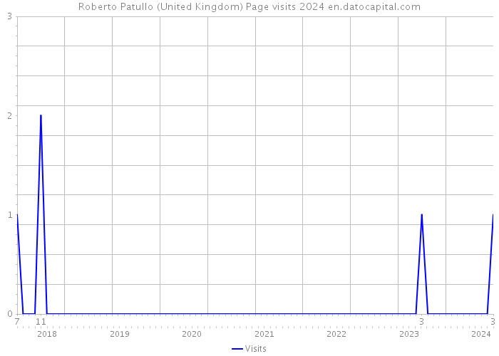 Roberto Patullo (United Kingdom) Page visits 2024 