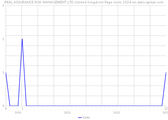 REAL ASSURANCE RISK MANAGEMENT LTD (United Kingdom) Page visits 2024 