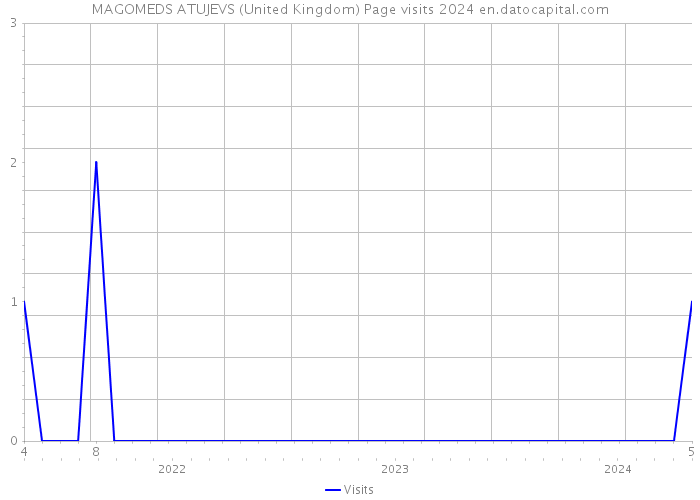 MAGOMEDS ATUJEVS (United Kingdom) Page visits 2024 