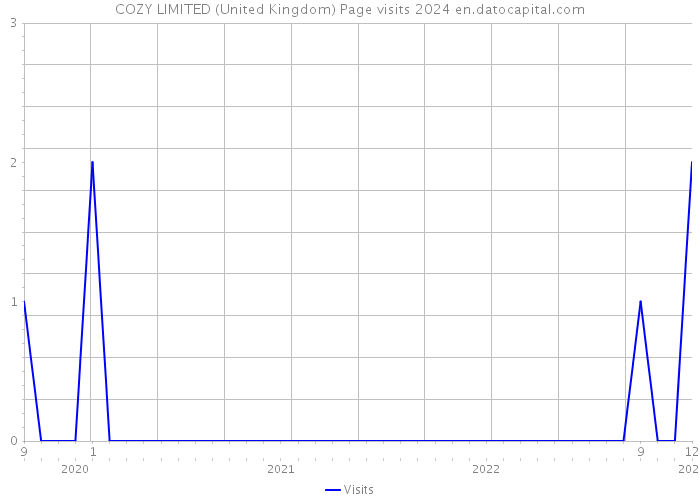COZY LIMITED (United Kingdom) Page visits 2024 