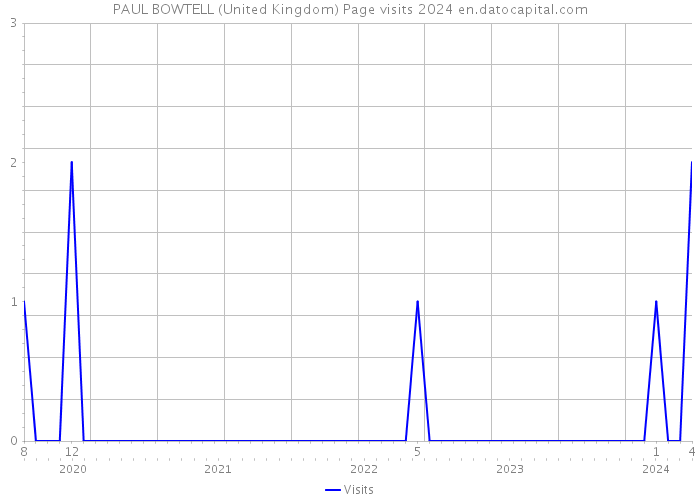 PAUL BOWTELL (United Kingdom) Page visits 2024 