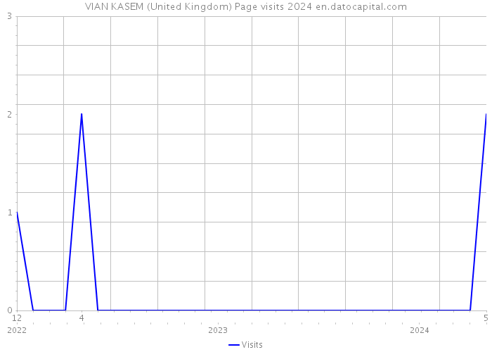 VIAN KASEM (United Kingdom) Page visits 2024 