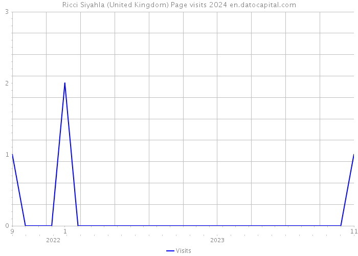 Ricci Siyahla (United Kingdom) Page visits 2024 