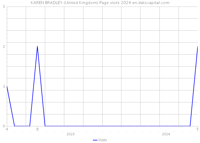 KAREN BRADLEY (United Kingdom) Page visits 2024 