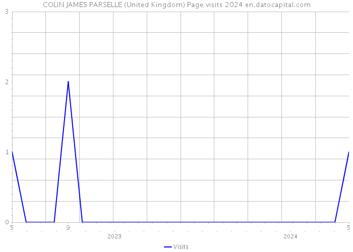 COLIN JAMES PARSELLE (United Kingdom) Page visits 2024 