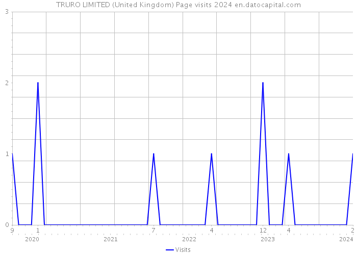 TRURO LIMITED (United Kingdom) Page visits 2024 