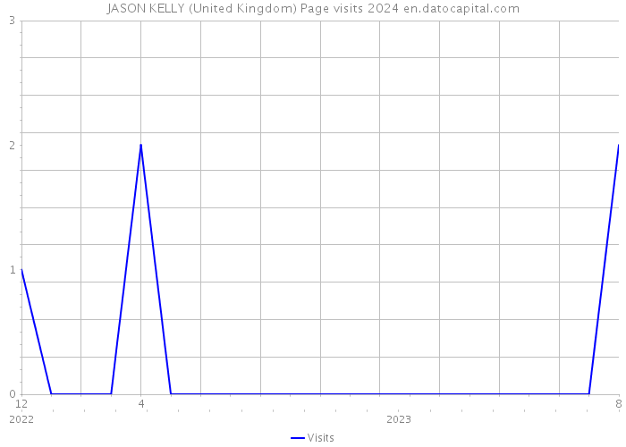 JASON KELLY (United Kingdom) Page visits 2024 