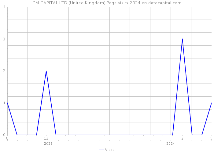 GM CAPITAL LTD (United Kingdom) Page visits 2024 