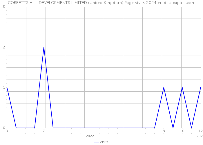 COBBETTS HILL DEVELOPMENTS LIMITED (United Kingdom) Page visits 2024 