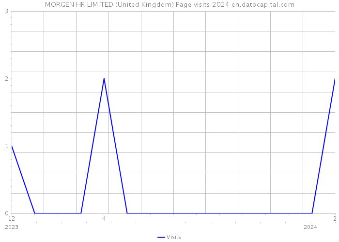 MORGEN HR LIMITED (United Kingdom) Page visits 2024 