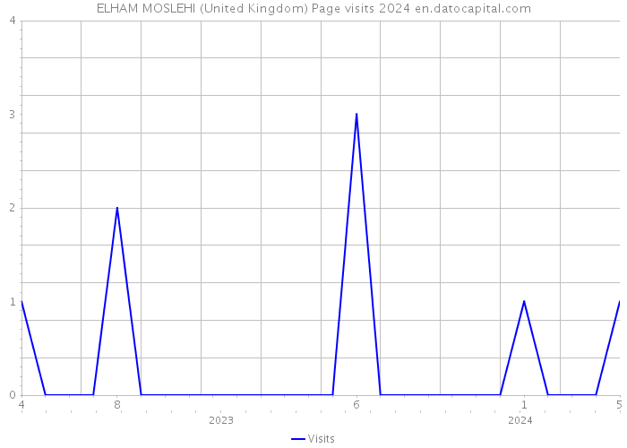 ELHAM MOSLEHI (United Kingdom) Page visits 2024 