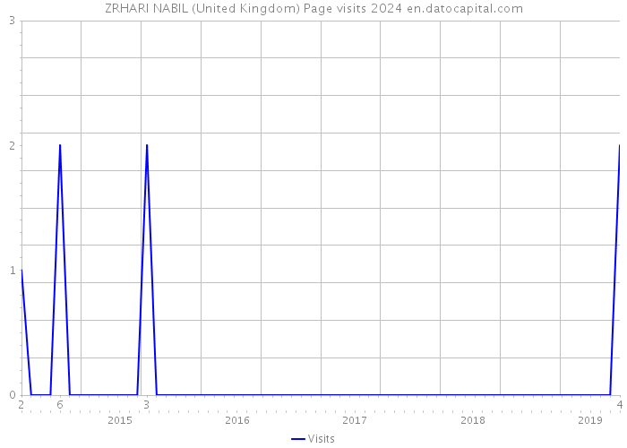 ZRHARI NABIL (United Kingdom) Page visits 2024 