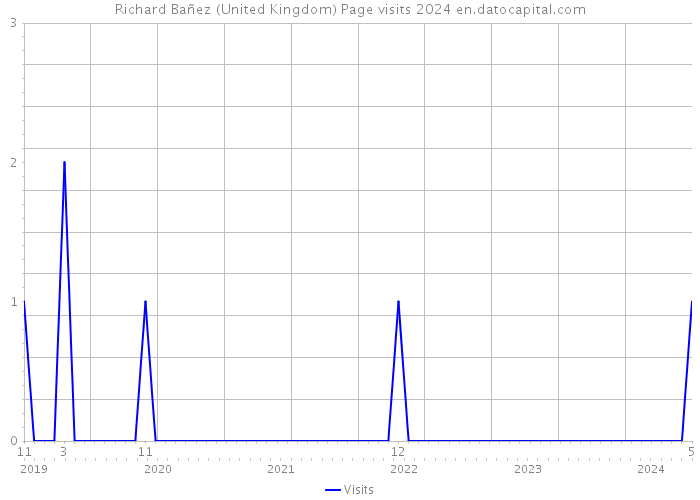 Richard Bañez (United Kingdom) Page visits 2024 