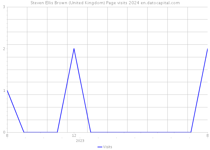 Steven Ellis Brown (United Kingdom) Page visits 2024 