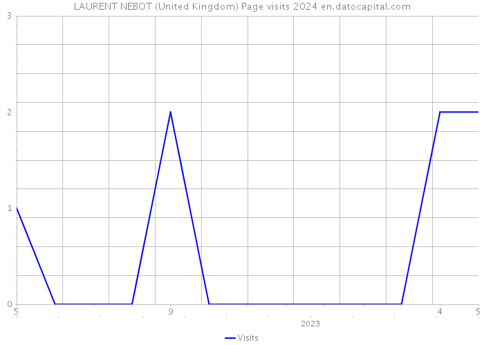 LAURENT NEBOT (United Kingdom) Page visits 2024 