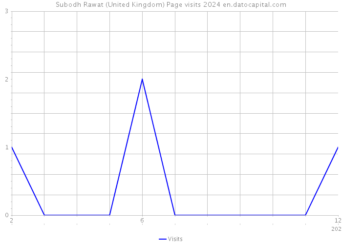 Subodh Rawat (United Kingdom) Page visits 2024 