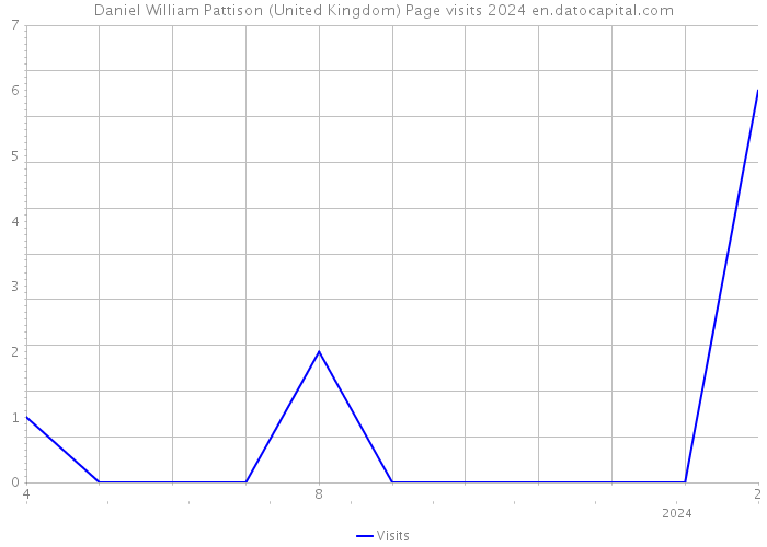 Daniel William Pattison (United Kingdom) Page visits 2024 