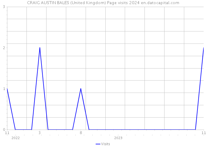 CRAIG AUSTIN BALES (United Kingdom) Page visits 2024 