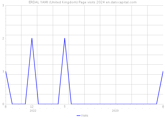 ERDAL YAMI (United Kingdom) Page visits 2024 