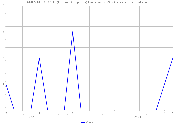JAMES BURGOYNE (United Kingdom) Page visits 2024 